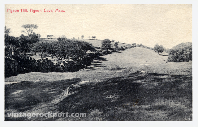 Pigeon-Hill-1915_post