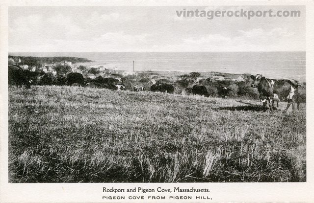 View-from-Pigeon-Hill-post