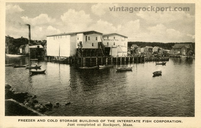 Freezer-and-Cold-Storage-po